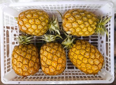 5 pieces Pineapple