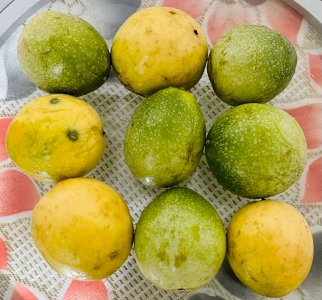 Passion fruit