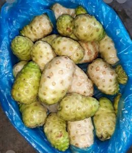 প্রিমিয়াম কোয়ালিটির ননি ফল!